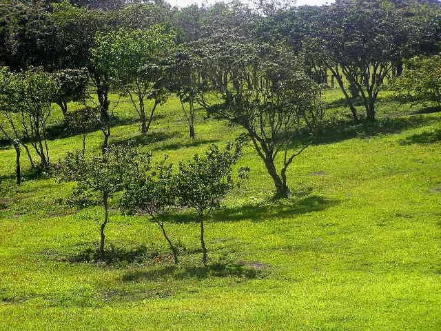 Hacienda Poseidon: 33 acre property overlooking Lake and Volcano Arenal - photo 9