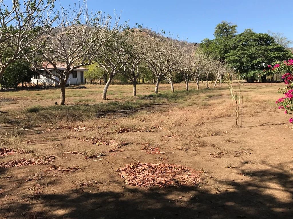 Strategic Lot for Sale in Playas del Coco – Excellent Investment Opportunity in a Prime Business Area - photo 7