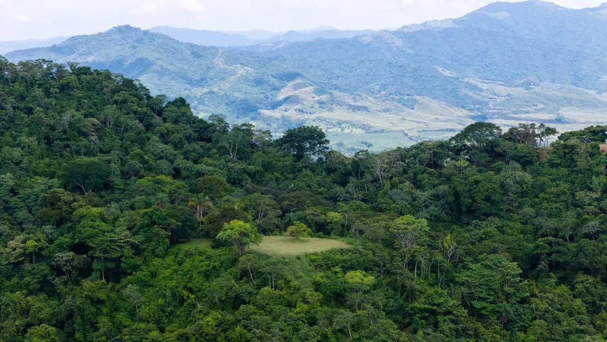 Ocean View Farm for Sale Guanacaste Costa Rica Playa Coyote - photo 17