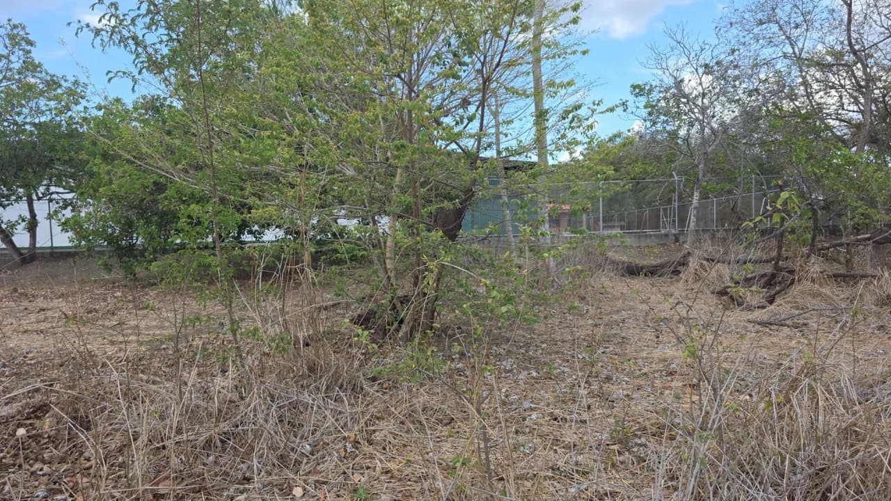 Property for Sale Near Liberia Airport with High Exposure and 60 Meters Frontage on Route 21, with Public Utilities - photo 3