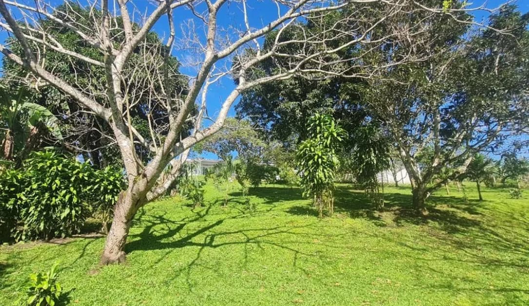 VILLA VIDA TRANQUILA - Modern Bright Home just above Lake Shore - photo 32