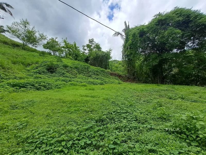 LOT SAN FERNANDO: San Fernando lot - 1024 m² building plot - affordable - flat - 10 minutes drive from Samara - photo 5