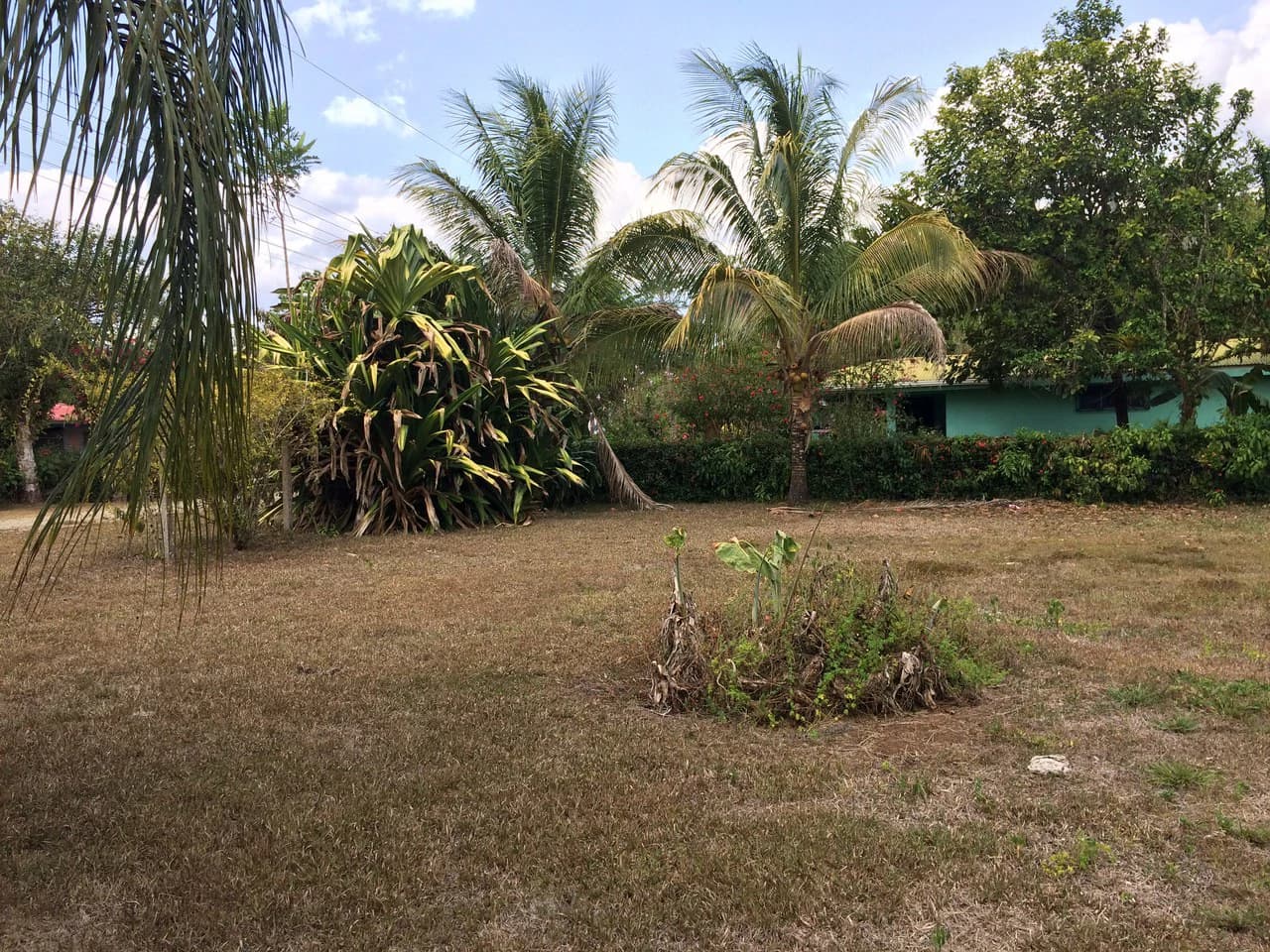 Propiedad grande: Countryside Home Construction Site For Sale in Caño Negro - photo 4