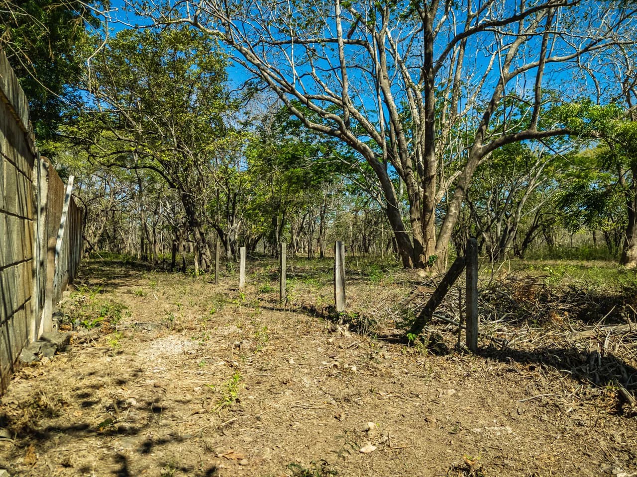 Bosque Escondido: Mixed-Use Lot Steps from Avellanas Beach - photo 13