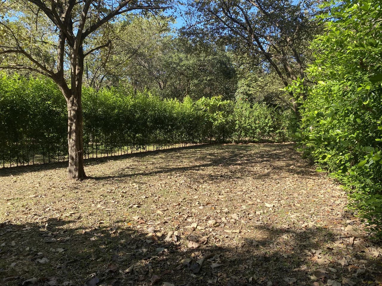 "Living in Marbella" Lot: Land with water meter installed by Marbella Beach - photo 7