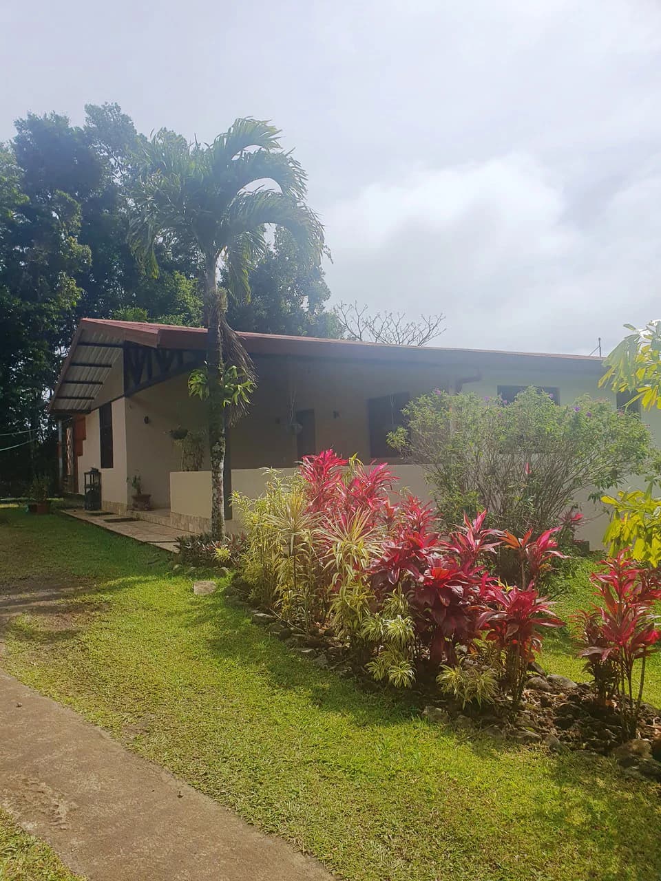 Lakeview Serenity Estate - Two Family Home: Stunning Lakeview Two-Family Home on 3,600 m² – Privacy, Nature & Income Potential