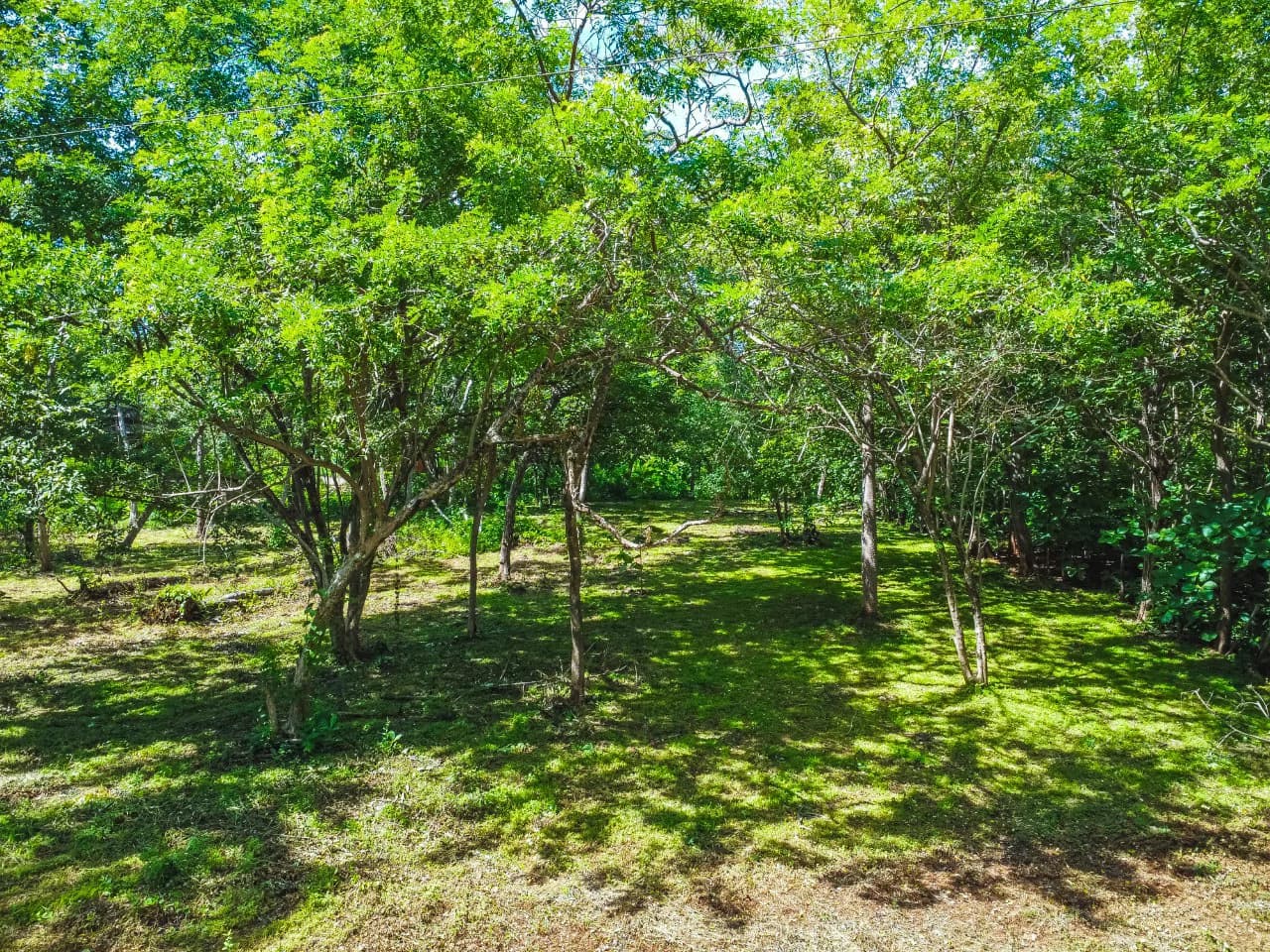 Residential Lot in Rancho Tranquilo - photo 8
