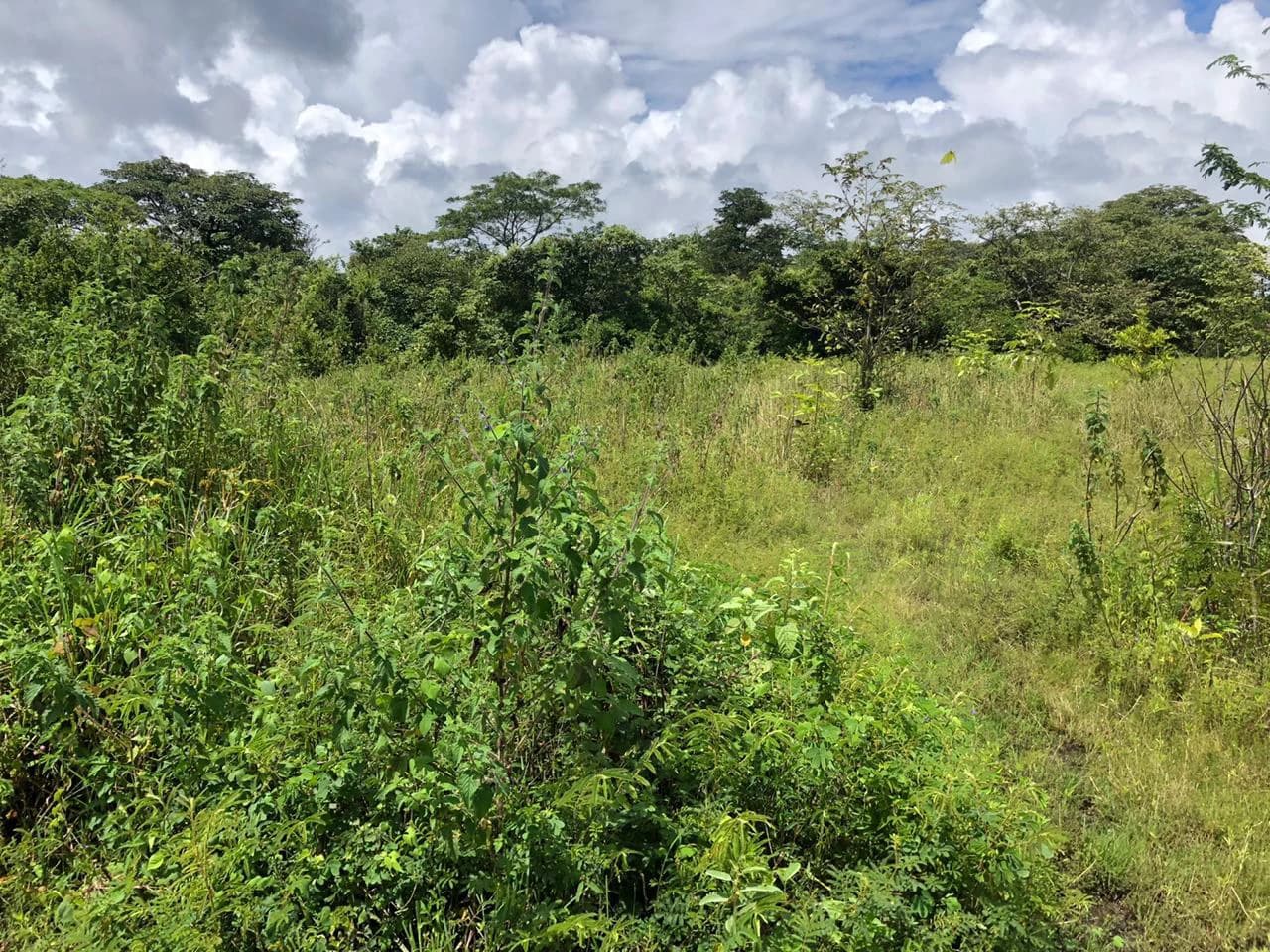 Development property for sale, Building project opportunity close to Liberia Airport and City with beautiful Flat property - photo 6