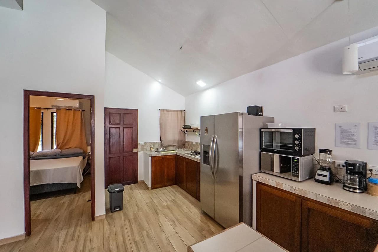 Casa León: Charming 3BR Home w Pool in Town - photo 10