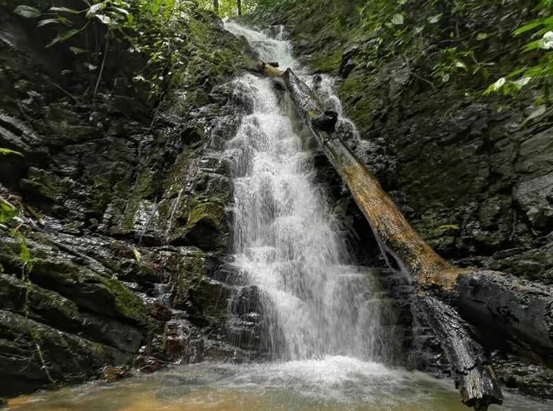 Finca Makambu: Countryside, Mountain, Near the Coast and Riverfront Property For Sale in Barú - photo 30