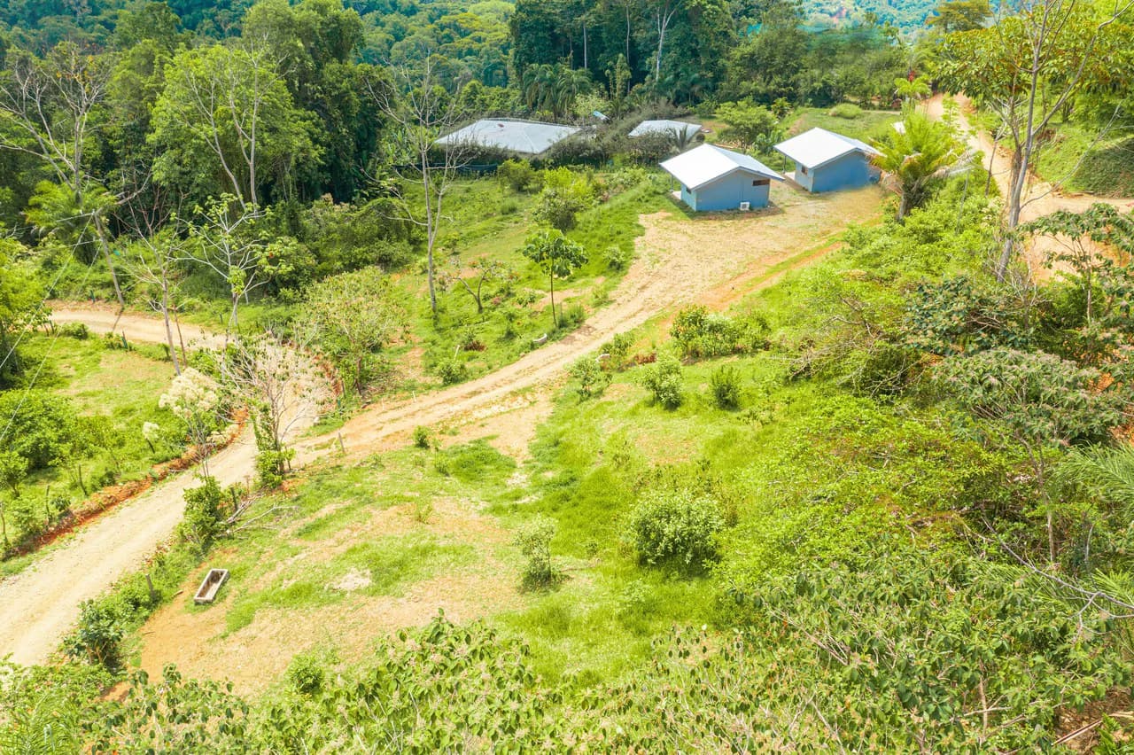 Mountain Mixed Use Building For Sale in Savegre - photo 25