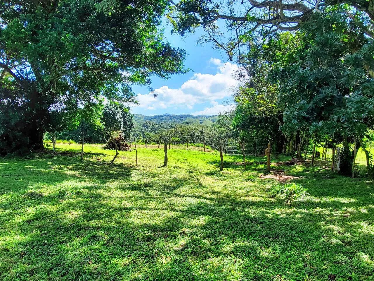 LA CABAÑA - 13+ ACRES & a TINY HOUSE & outstanding VIEWS - REDUCED PRICE - SELLER MOTIVATED - photo 22