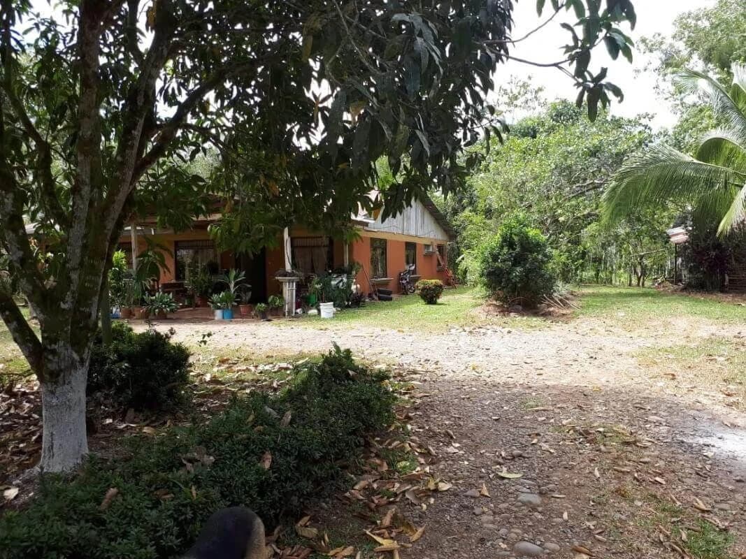 land for sale Alajuela San Carlos Pocosol Santa Maria Santa Rosa - photo 2