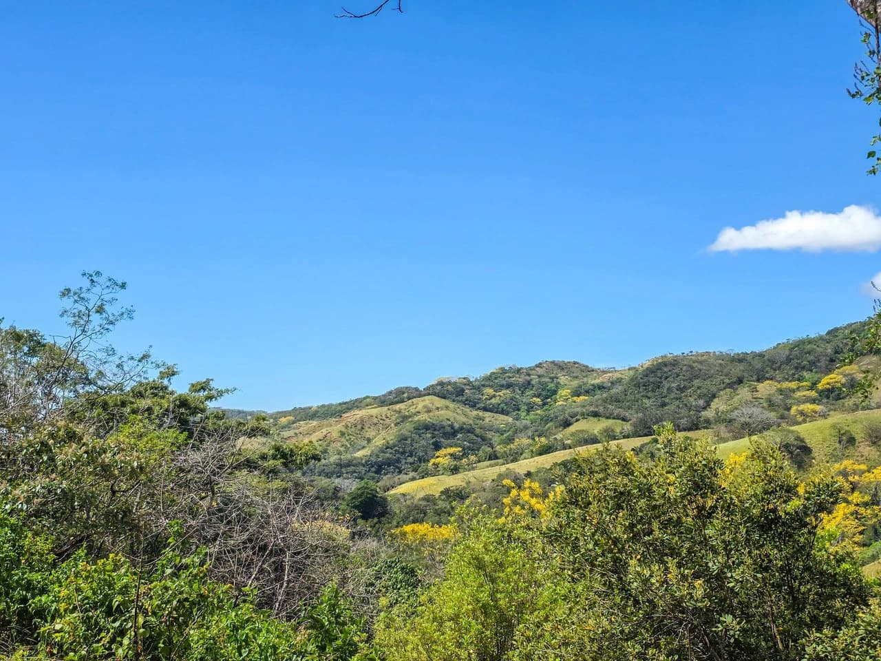Mountain and Partial Ocean View Lot With Building Permits Approved - photo 3