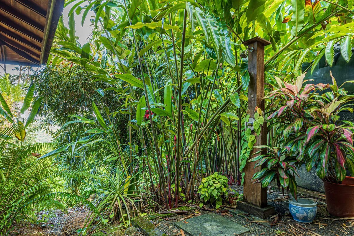 1.37 ACRES – 2 Bedroom Bali Style Home With Pool And THE BEST Ocean View!!!!! - photo 14