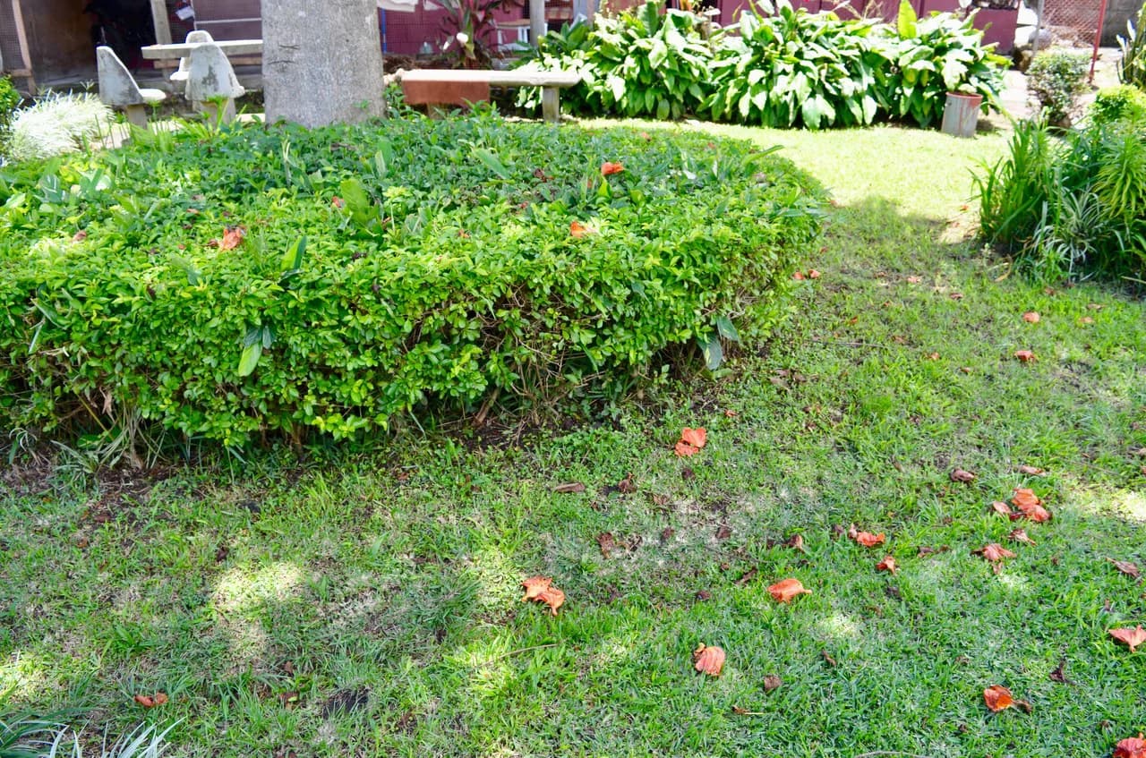 COMERCIAL LOT FOR SALE IN HEREDIA SAN FRANCISCO - photo 6