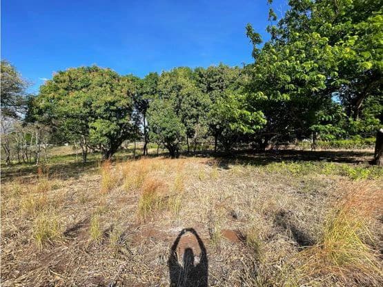 For Sale: This beautiful flat lot in La Ceiba of Orotina - photo 10