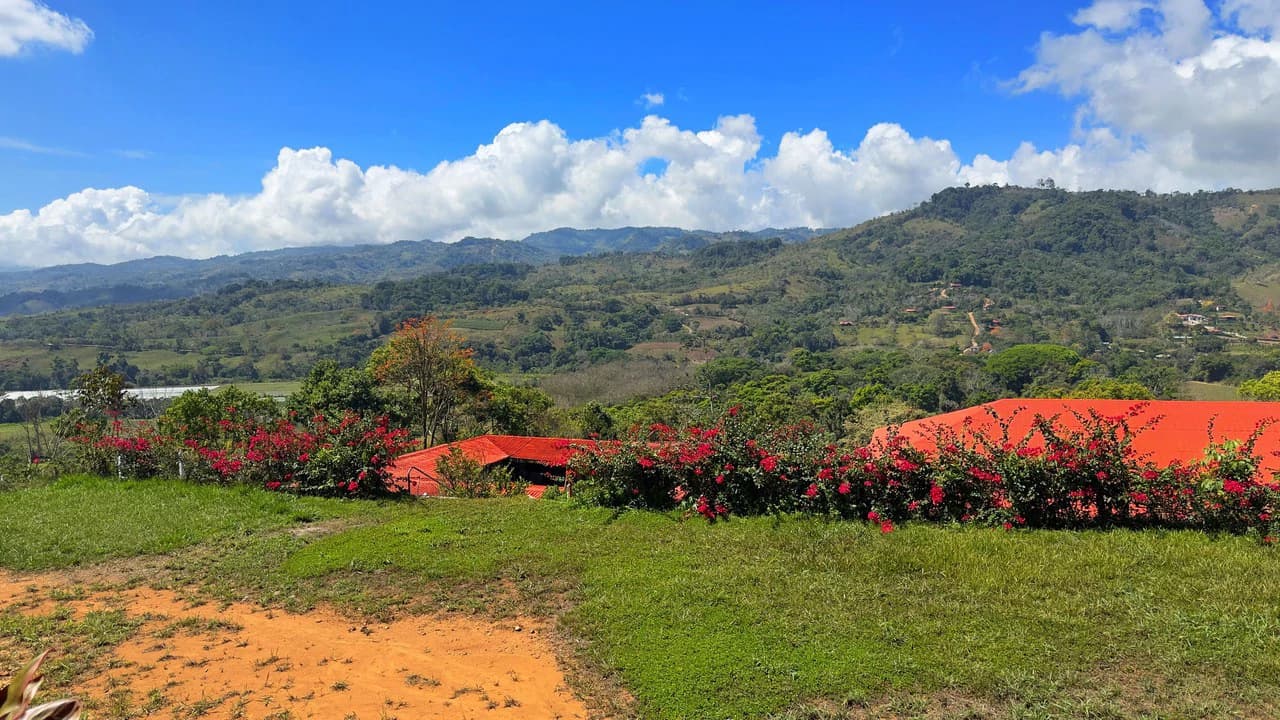 Agricultural Land For Sale in Daniel Flores - photo 23