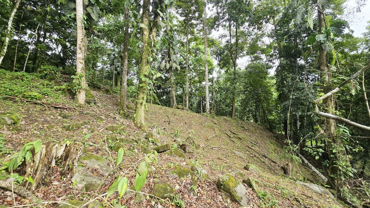 Near the Coast Home Construction Site For Sale in Uvita - photo 14