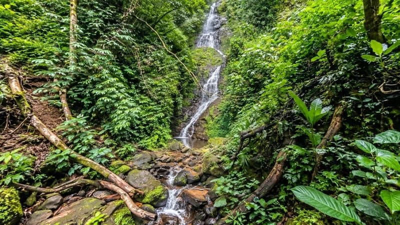 116-Hectare Finca for Sale Near Uvita with Whales Tail Views and 10 Waterfalls | La Faralla, Bahia Ballena, Uvita, Puntarenas, Costa Rica - photo 5