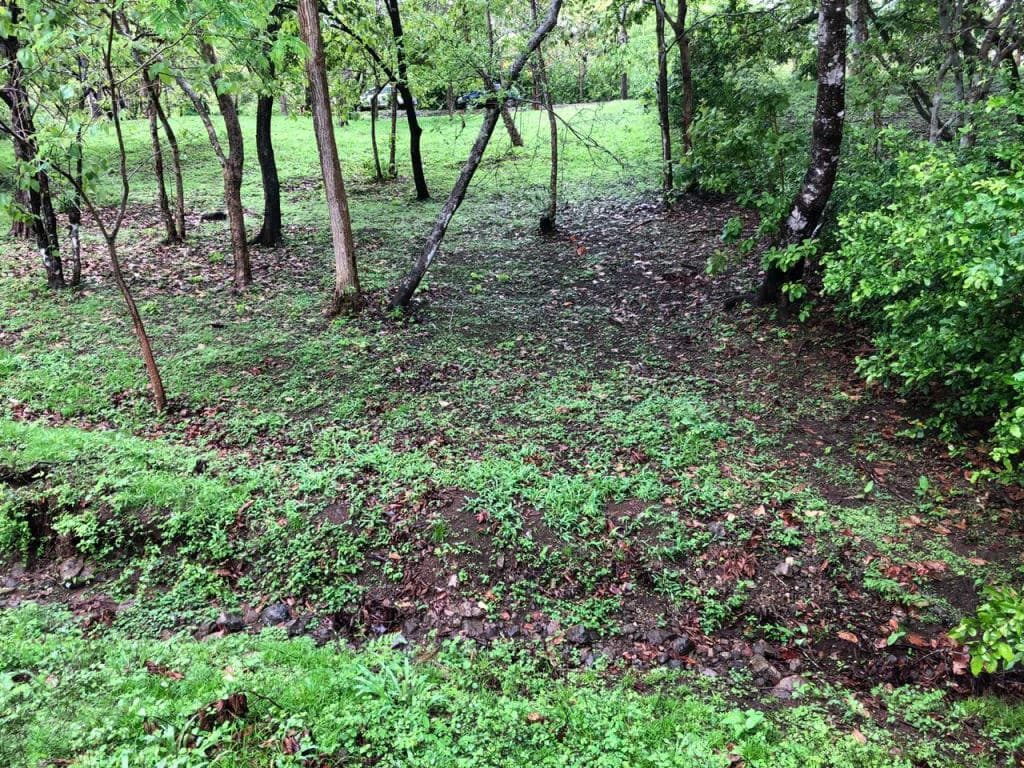 Lot in exclusive Residential, close to Beach Tamarindo - photo 30