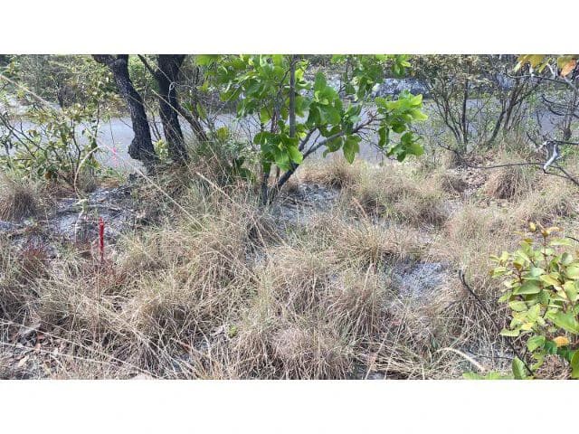 Zoning for homes, apartments, and warehouses in the mountains of Liberia, Beautiful 9.7 ha land with building permits - photo 14