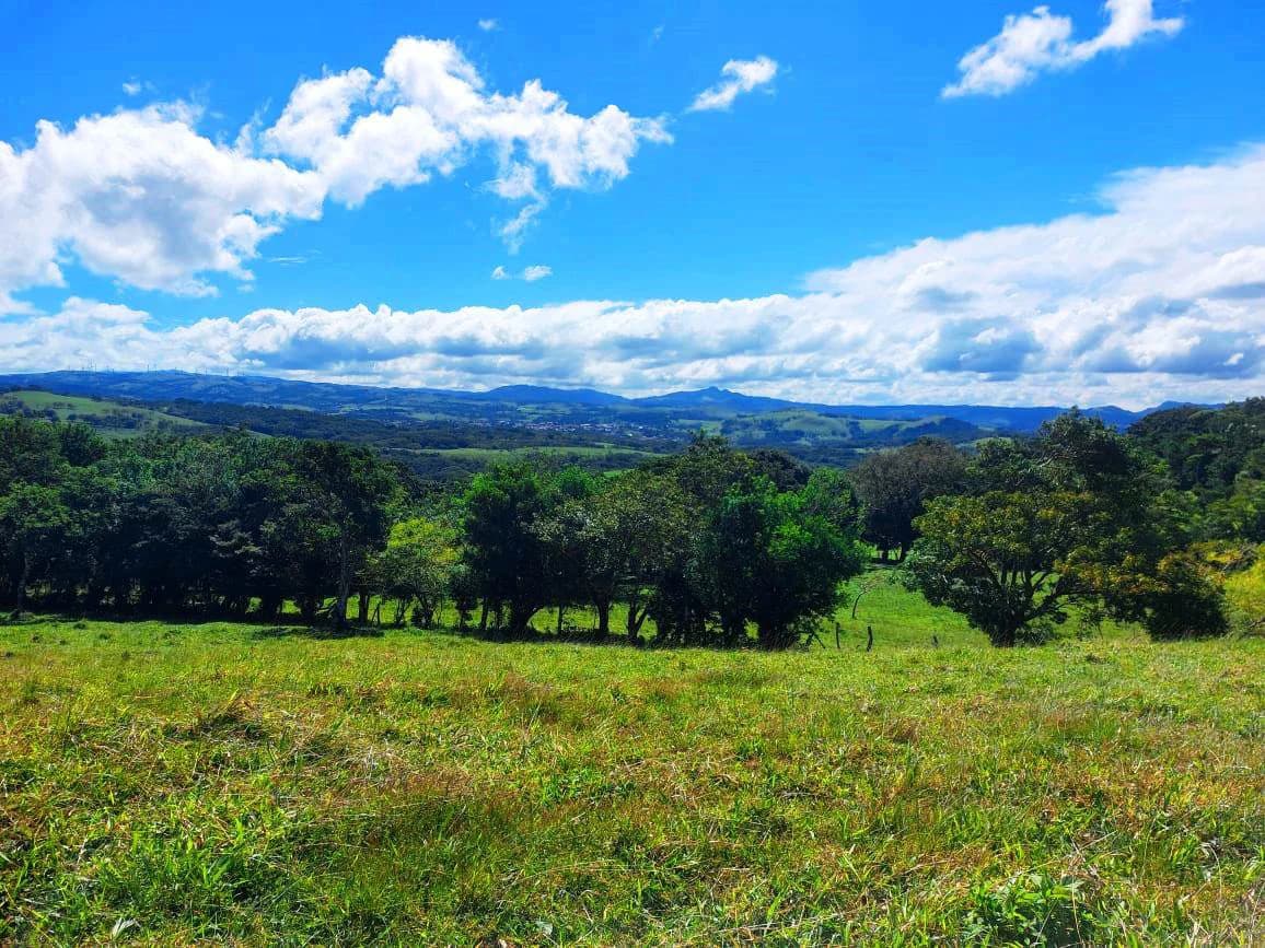 LA CABAÑA - 13+ ACRES & a TINY HOUSE & outstanding VIEWS - REDUCED PRICE - SELLER MOTIVATED - photo 25