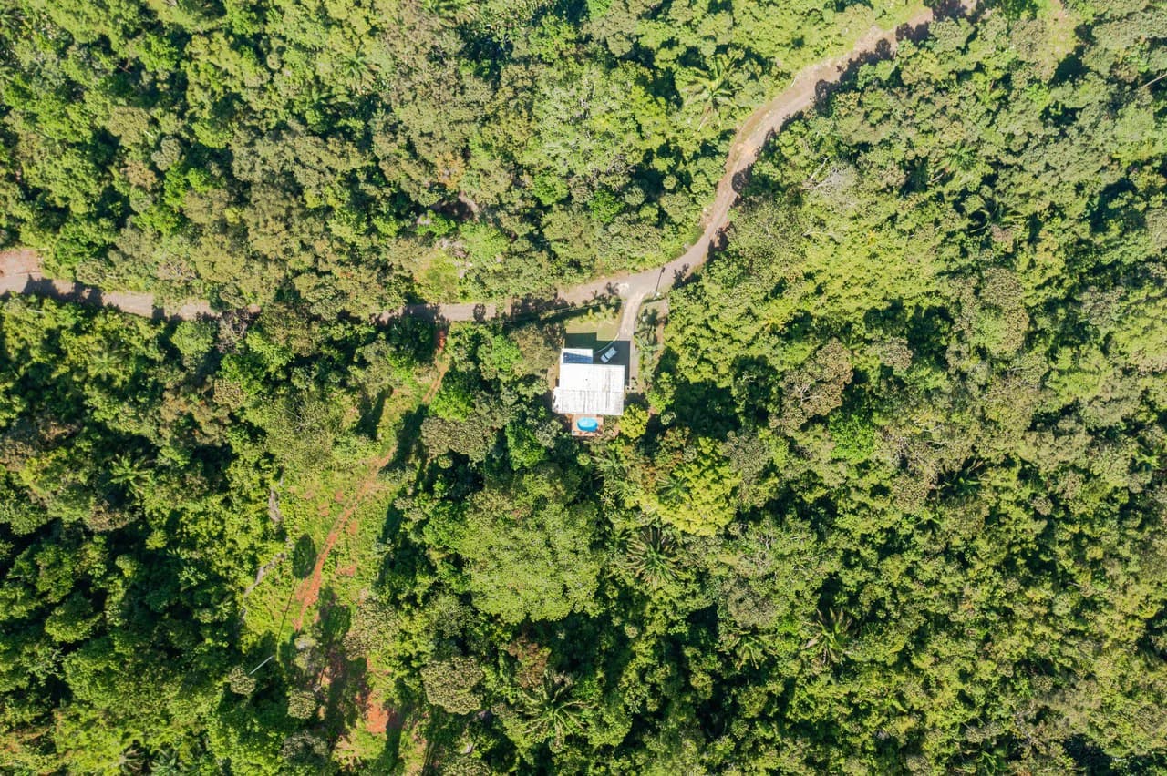 Casa Fox Las Palmas: Mountain House For Sale in Quepos - photo 32