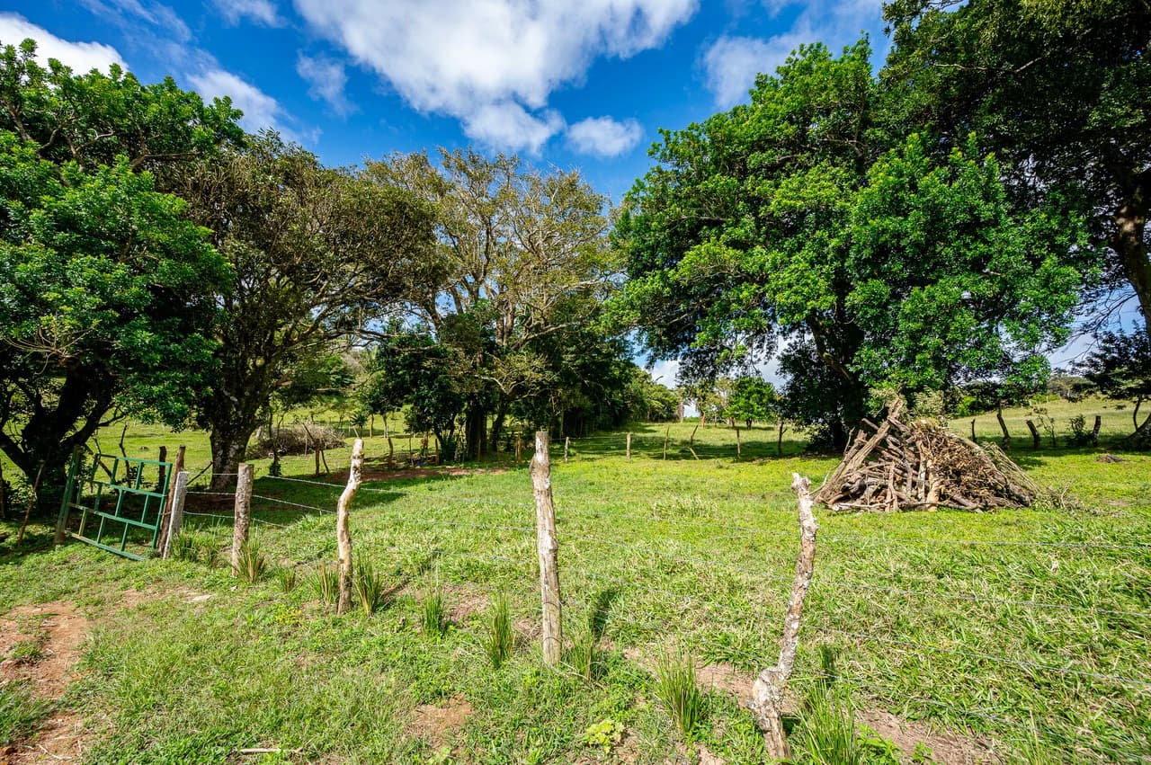 LA CABAÑA - 13+ ACRES & a TINY HOUSE & outstanding VIEWS - REDUCED PRICE - SELLER MOTIVATED - photo 51
