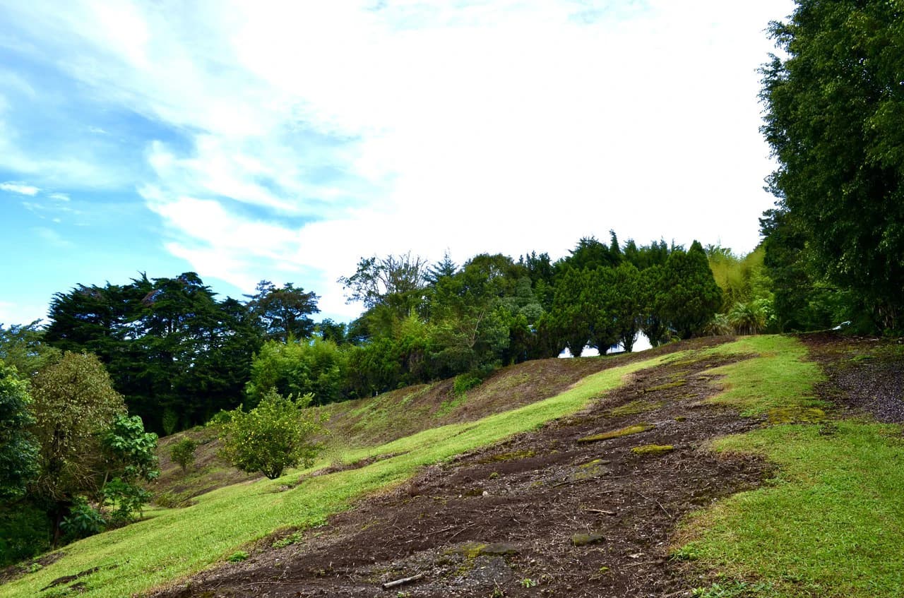 Farm for sale in Santa Barbara de Heredia - photo 30