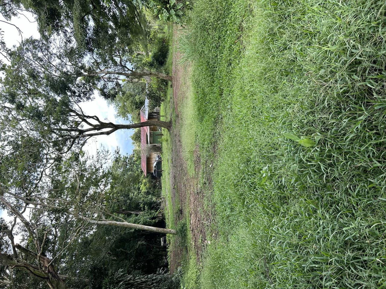 Lake Arenal Area - Sabalito - Great Location - Fantastic Price - photo 10