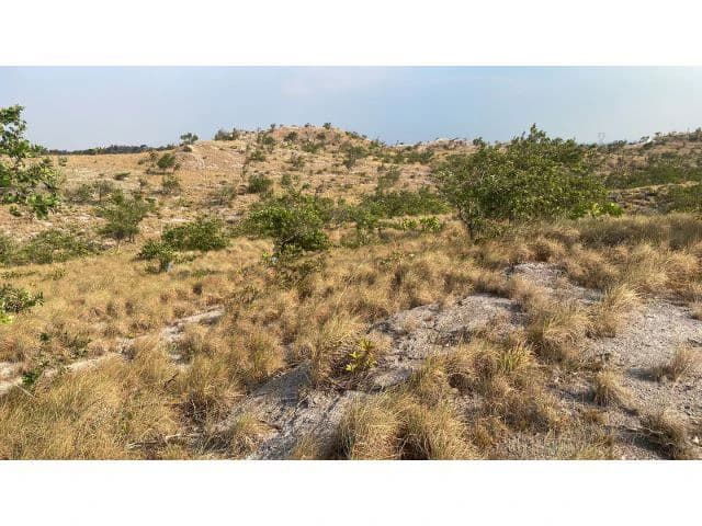 Zoning for homes, apartments, and warehouses in the mountains of Liberia, Beautiful 9.7 ha land with building permits - photo 3