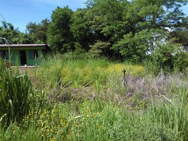Discovery Park. Property with excellent location
