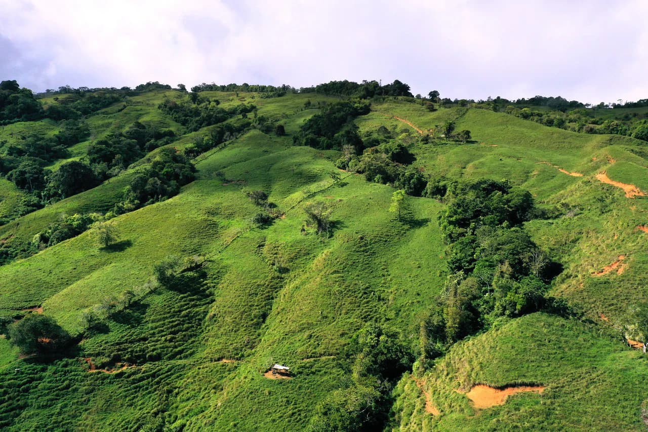 150 Acre Cattle Ranch with Panoramic Views Above the mountains of Uvita - photo 15