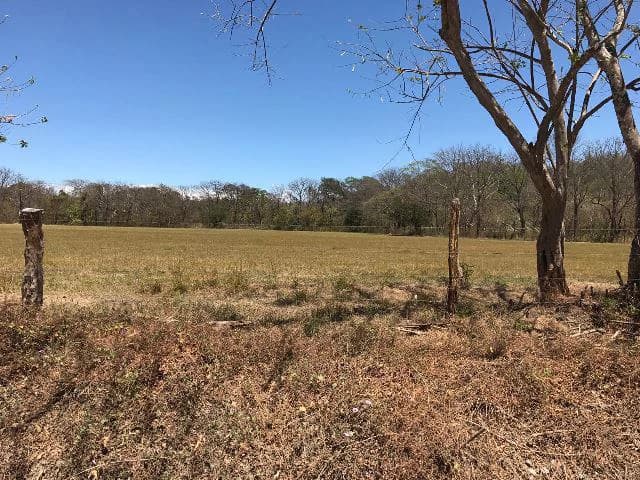 Huge terrain for sale in Guardia close to the International Airport of Liberia - photo 9