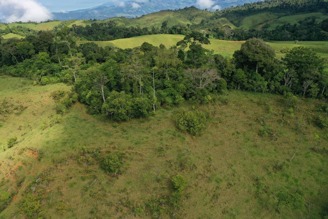 47 Acre Off Grid Ranch with Ocean & Mountain Views San Lorenzo Perez Zeledón - photo 10