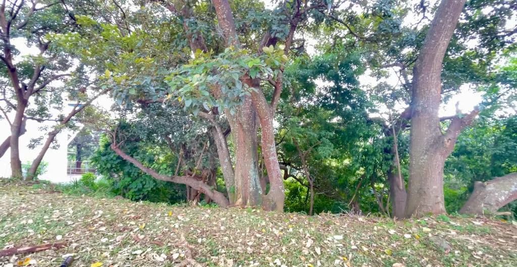 Commercial land for sale in front of Avenida Escazú and Hospital CIMA Costa Rica high capital gains - photo 7
