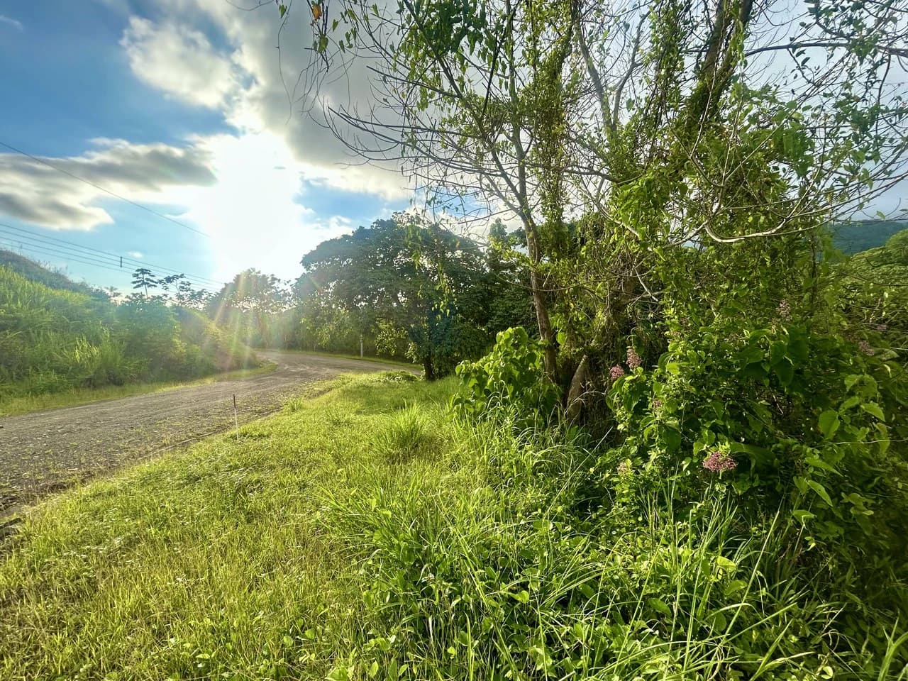 Price Reduced! Panoramic Ocean View Lot in Prestigious Phase 11 Ojochal – 2.77 Acres with Luxury 3D Home Design Included - photo 29
