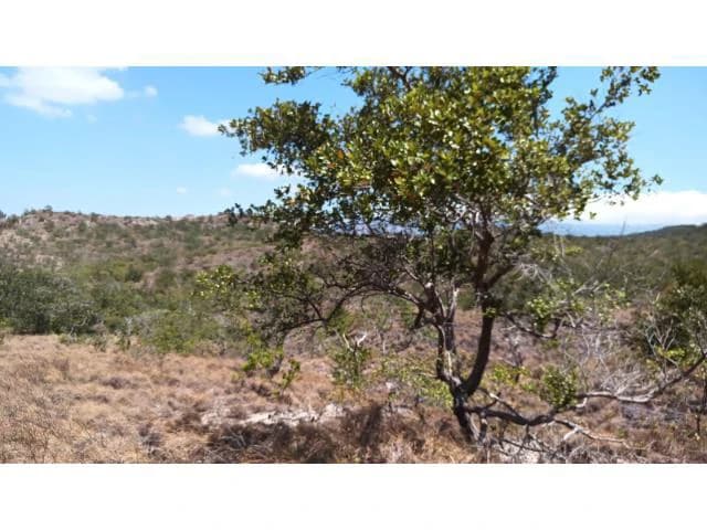 Huge Tico-Farm for sale with a big house in the mountains of Liberia, surrounded by nature and fantastic valley views - photo 3