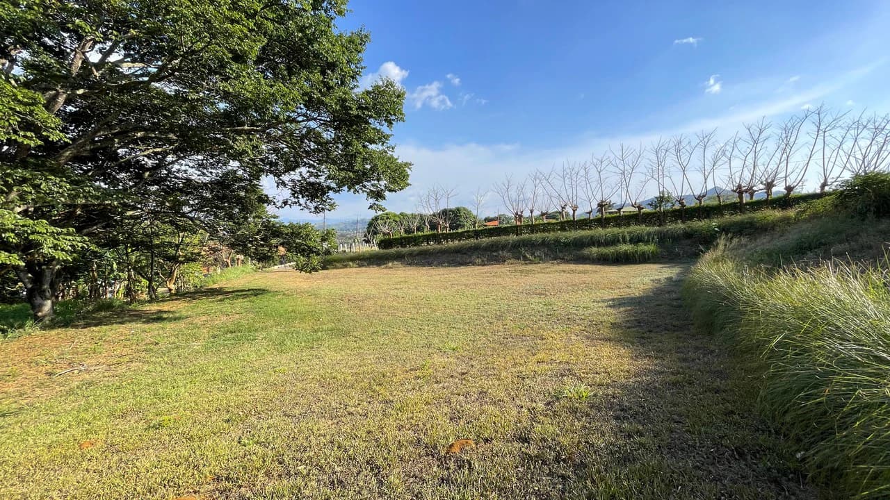 Lot in Barrio San José Sur , Atenas – Strategic Location - photo 14
