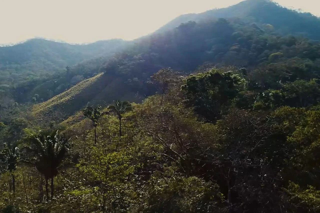 Finca Las Nubes: Amazing 75 Hectare / 185 Acre Finca, with a 300 m2 Main Home and Pool Built above the Clouds - photo 7
