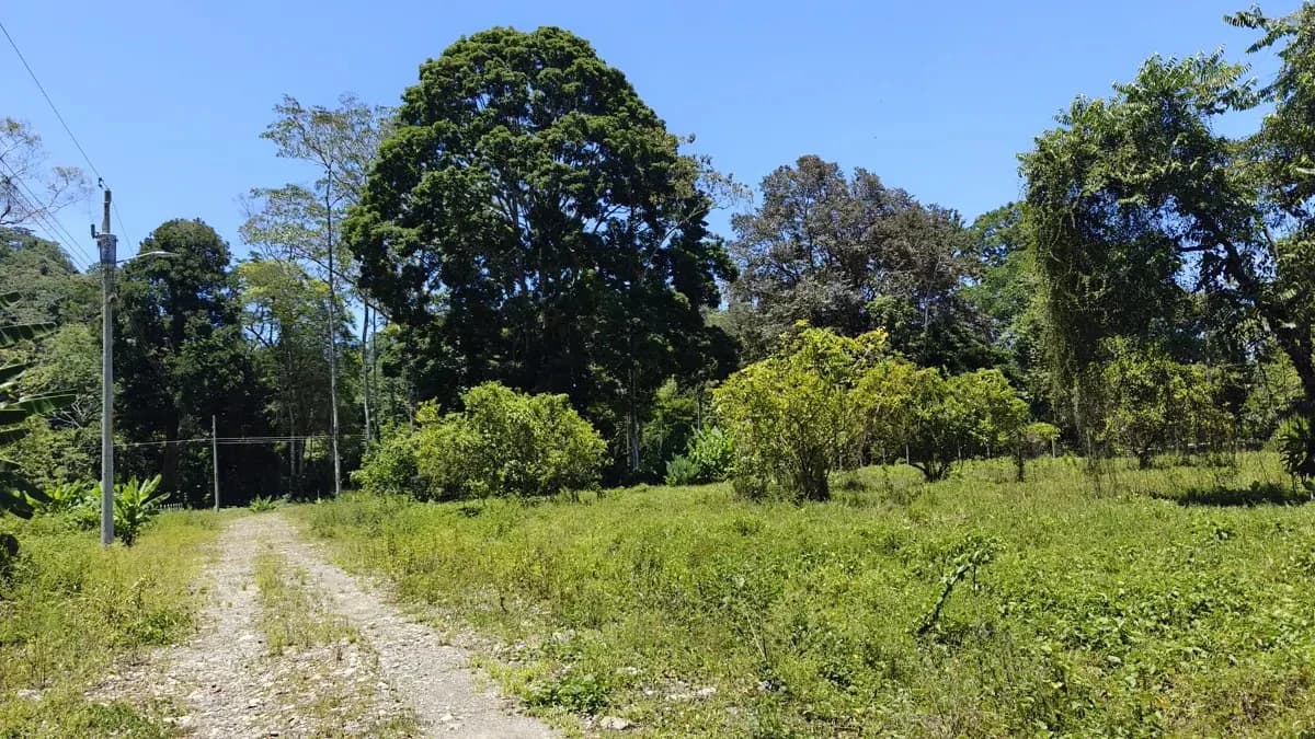 ID 924: El Cortijo: El Cortijo - Residential Lots for Sale in Hone Creek Near Puerto Viejo - photo 6