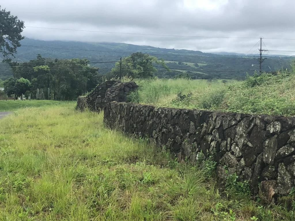 Lot with High Development Potential in Bijagua, Valle de Miravalles, Costa Rica - photo 4