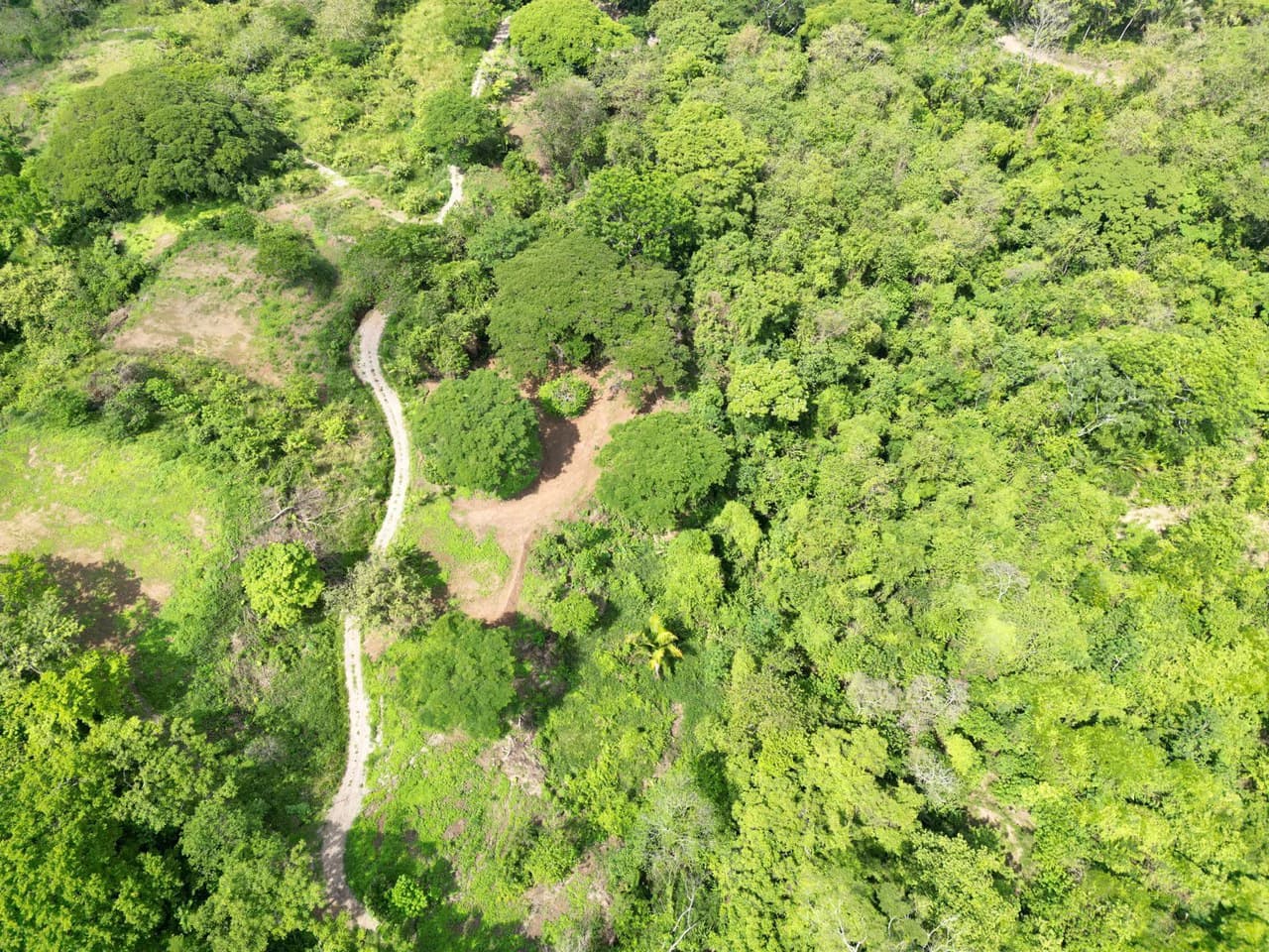 Enchanting 9,800 m² Land Surrounded by Jungle and Nature: A Peaceful Retreat Near Santa Teresa, Mal País, and Cabuya