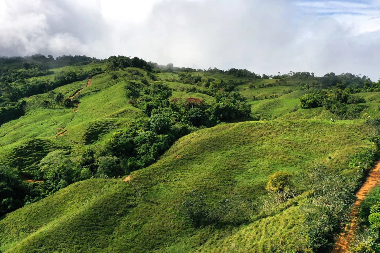 150 Acre Cattle Ranch with Panoramic Views Above the mountains of Uvita - photo 6