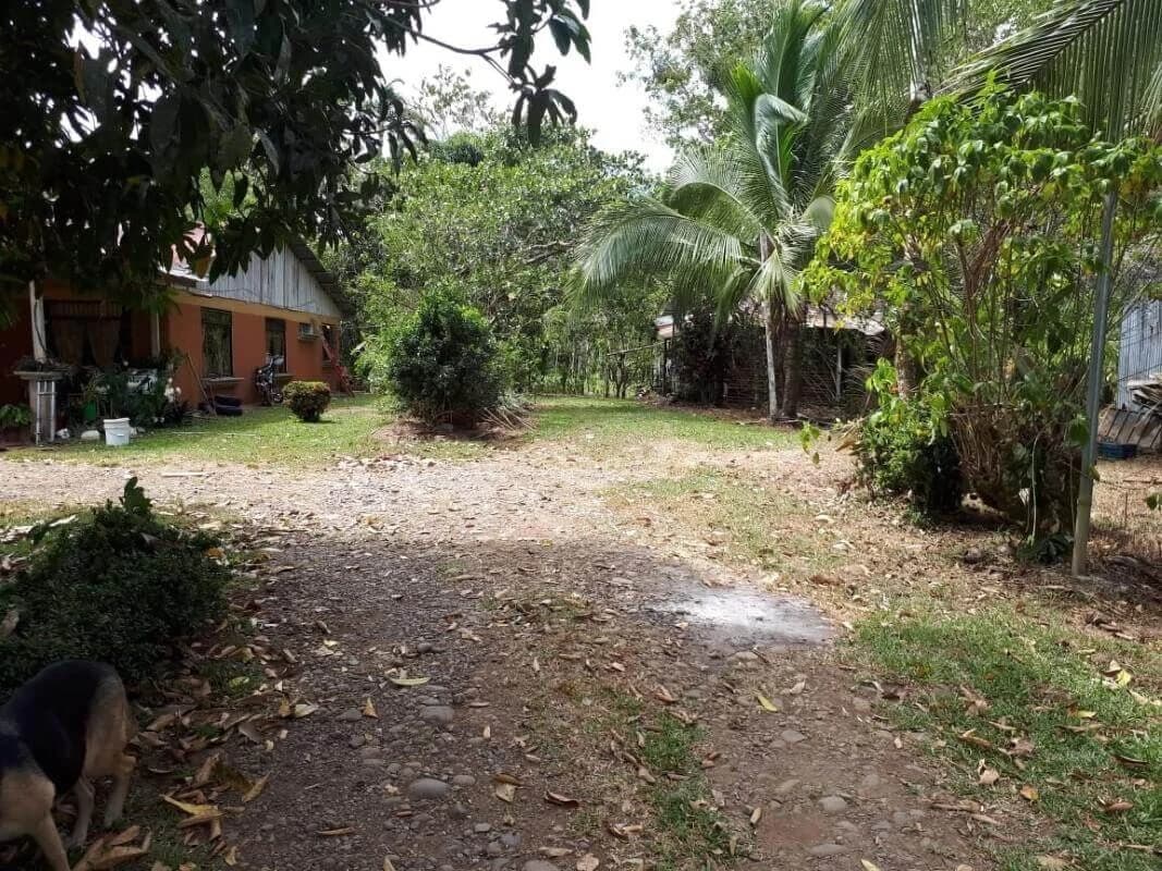 land for sale Alajuela San Carlos Pocosol Santa Maria Santa Rosa
