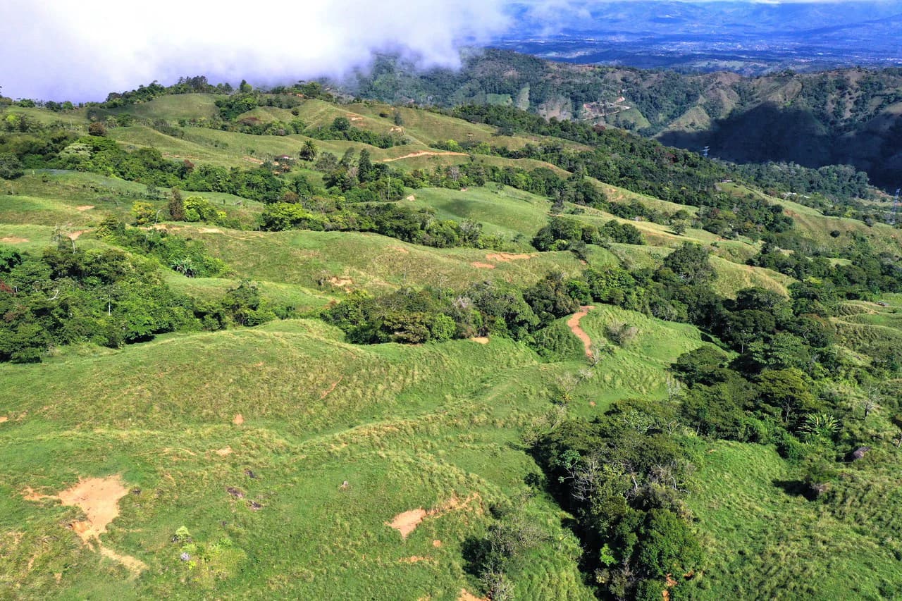 150 Acre Cattle Ranch with Panoramic Views Above the mountains of Uvita - photo 23