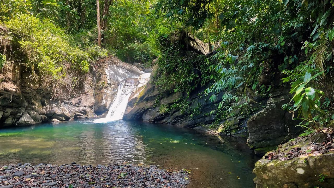 FINCA CERRO DEL TIGRE! OVER 20 ACRES OF PRIMARY FOREST AND WATERFALLS.: Mountain Agricultural Land For Sale in La Unión - photo 16