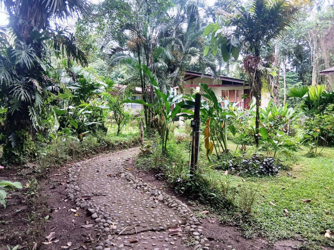 ECO TOURISM PARADISE: Turnkey Boutique Hotel in Nature! - photo 16