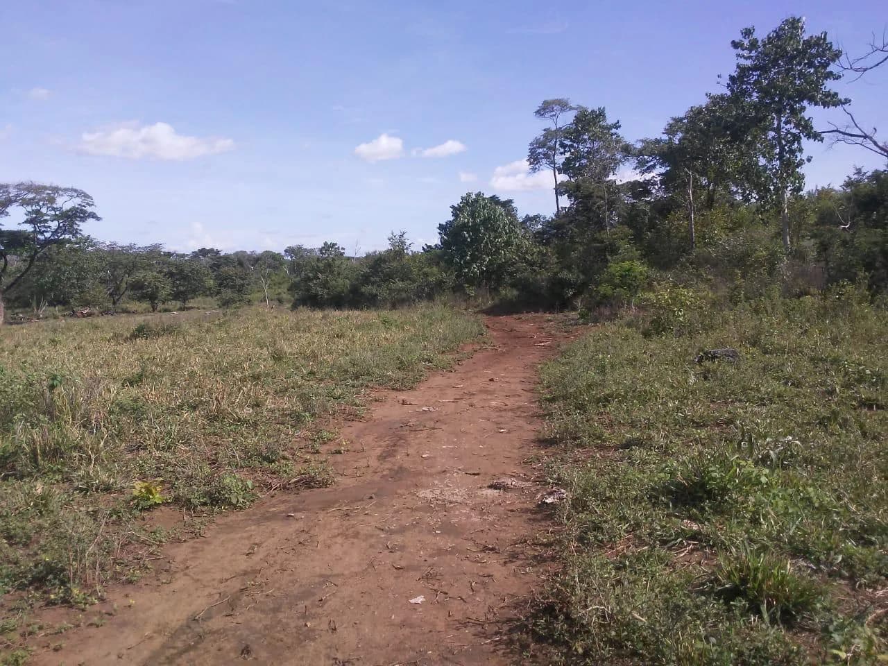 Large commercial property for sale in the Papagayo area, close to the Marina Papagayo or Four Season luxury hotel - photo 5